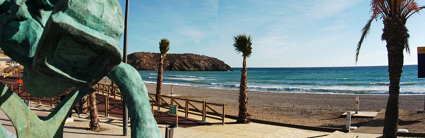 PLAYA DE EL CASTELLAR