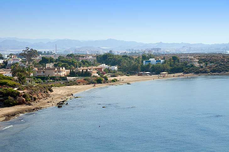 PLAYA DE CALARREONA