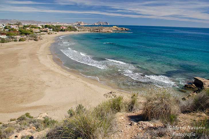 PLAYA DE CALARREONA