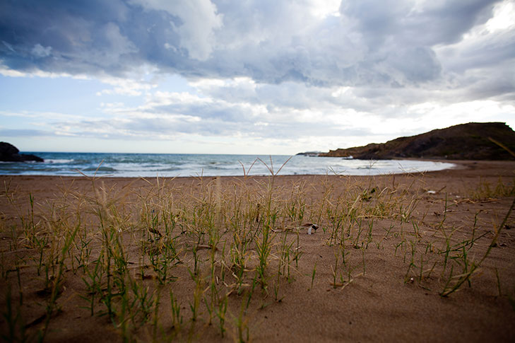 PLAYA PUNTAS DE CALNEGRE