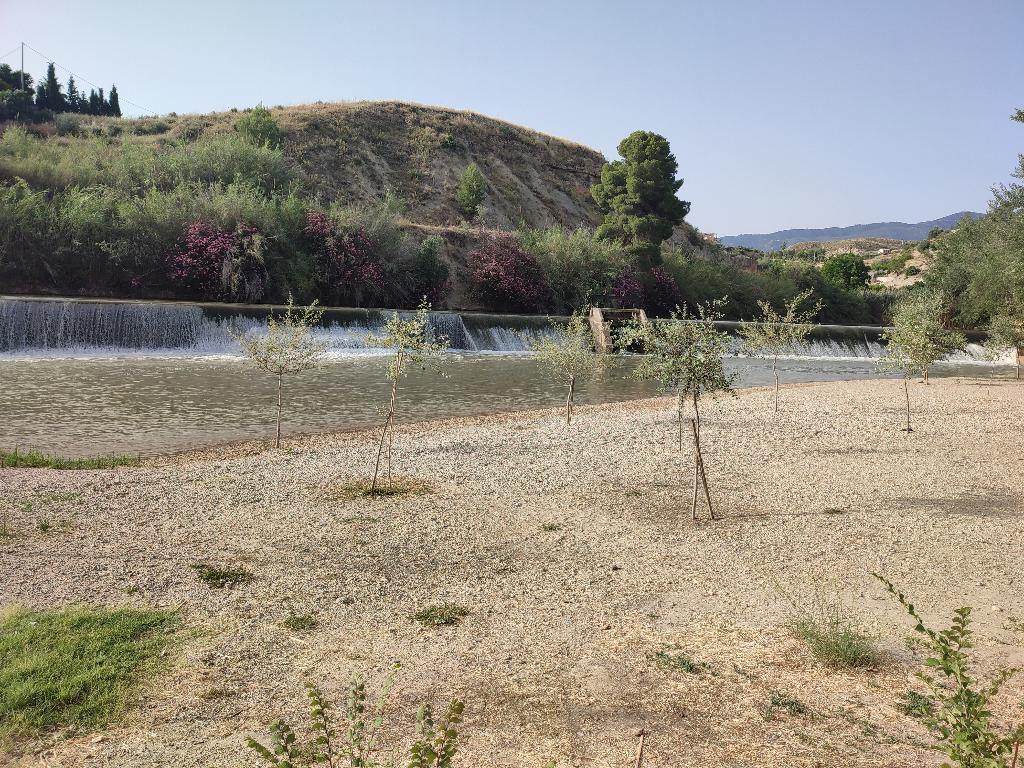 EL JARRAL RIVER BEACH