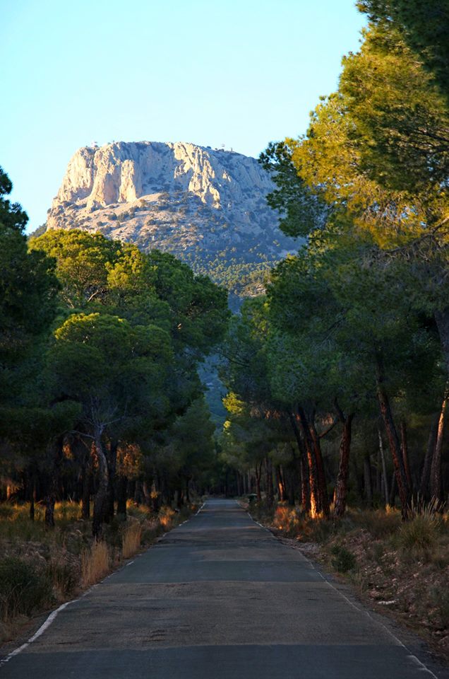 MORRN DE ESPUA (DESDE TOTANA)