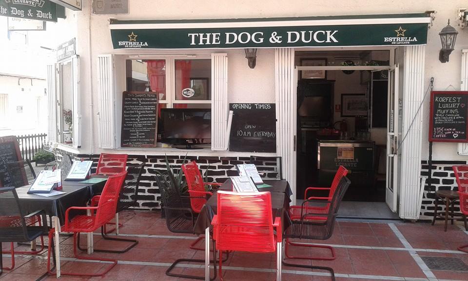 THE DOG AND DUCK