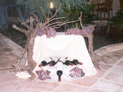 TERRAZA LA CASA DE SALVADOR