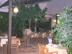 TERRAZA LA CASA DE SALVADOR