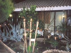 TERRAZA LA CASA DE SALVADOR